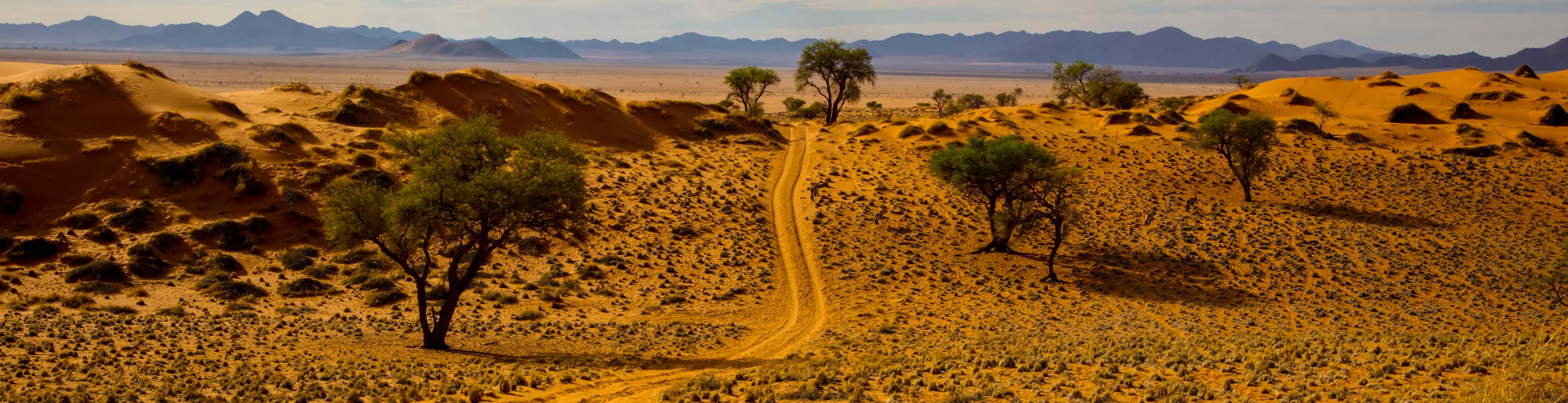 Voyager en Namibie