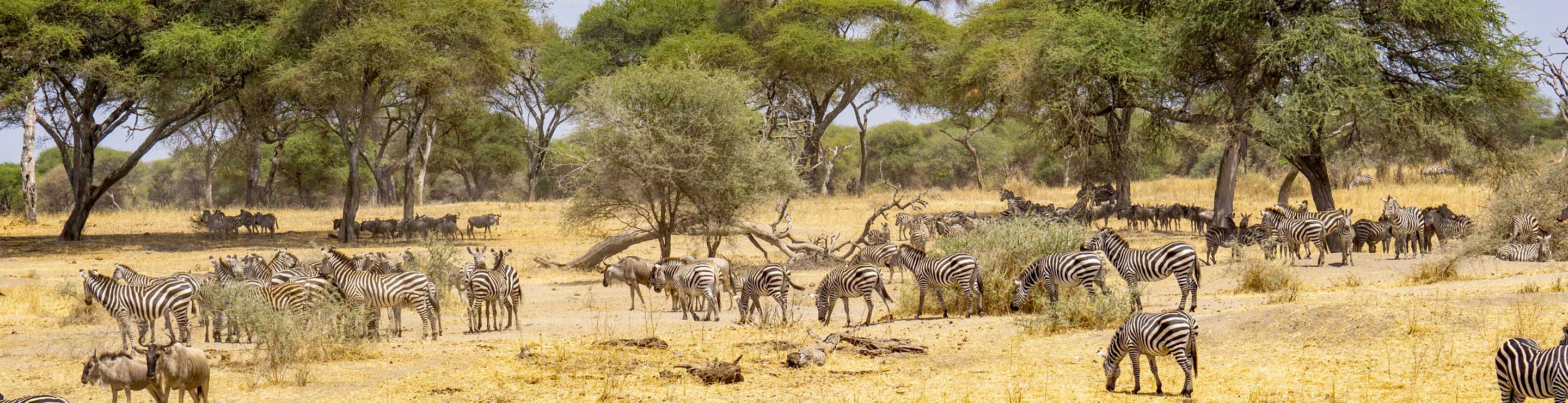 Tanzanie et Zanzibar